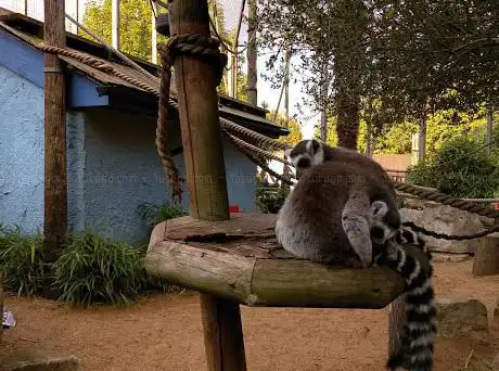Photo de Battersea Park Children's Zoo