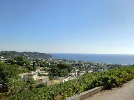 Photo de Little Ranch