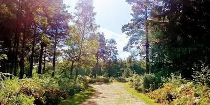 Photo de Friends of the Hurtwood