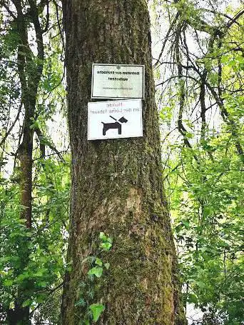 Simscheler Weiher
