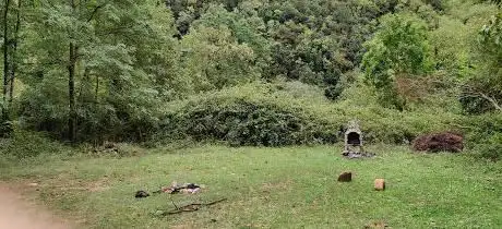 Area picnic