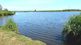 Kerfeuille