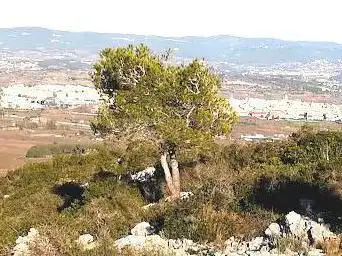 Photo de Penya del Papiol