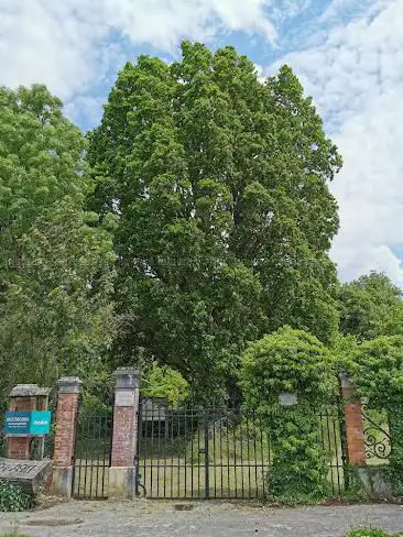 Arboretum d'Amance