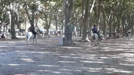 Photo de public Garden