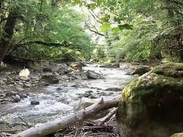 Route de la Bavoisiere