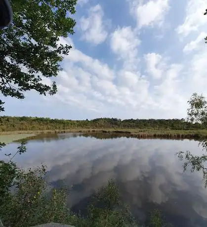 Start wandelingen Resterheide/Begijnenvijvers