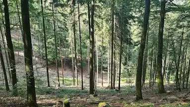 Bobenthaler Hütte