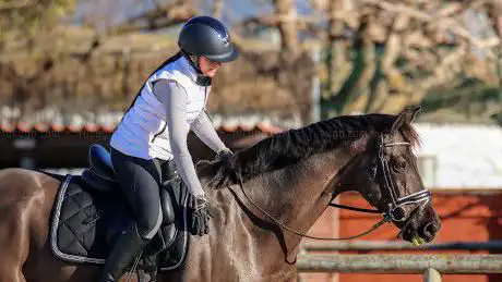 Photo de Kairos Equestrian Club