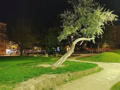 Photo de San Martin Park