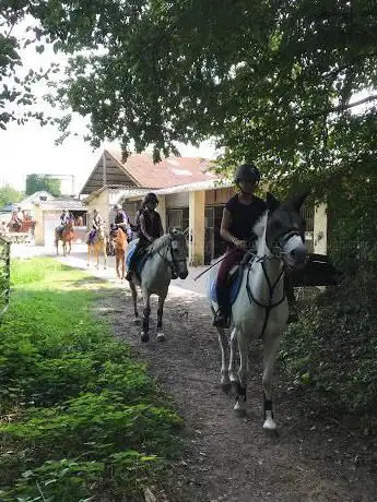 Les Ecuries au CÅ“ur de L'Isle Adam - Centre équestre 95