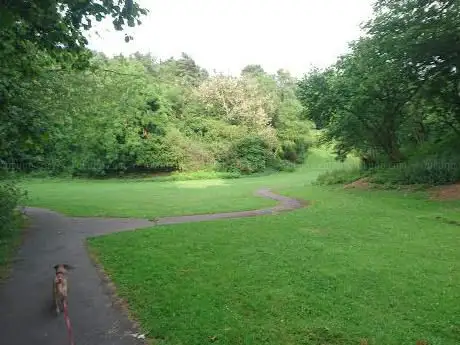 Dene Park