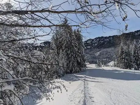 NätschhÃ¶chi