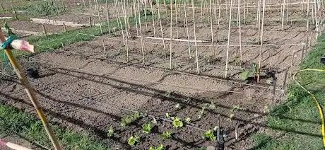 Photo de Parco via Unità d'Italia