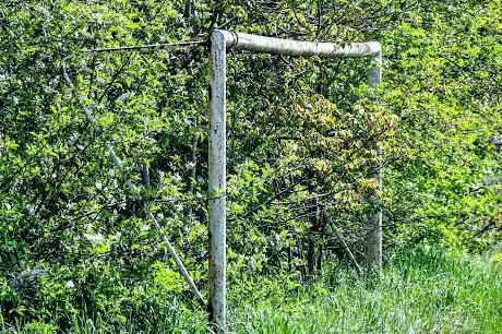 FC Verbroedering Wilsele
