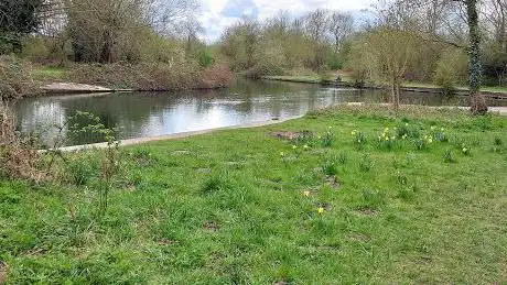 Photo de Longbridges Nature Park
