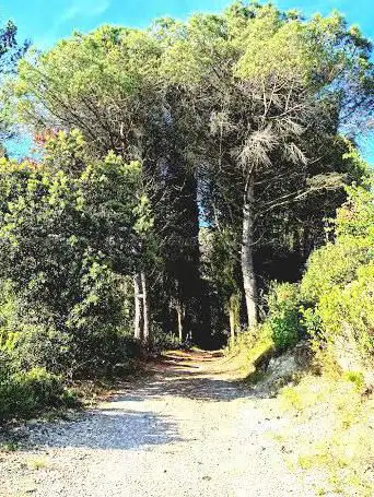 Photo de Boucle de l'Alaric par la Combe du Gravier