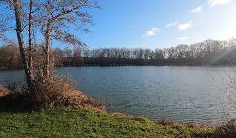 Photo de Prairie des étangs de Dordives
