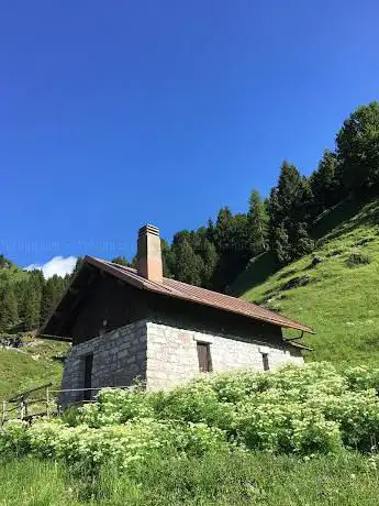 Photo de Malga Cason dei Lebi