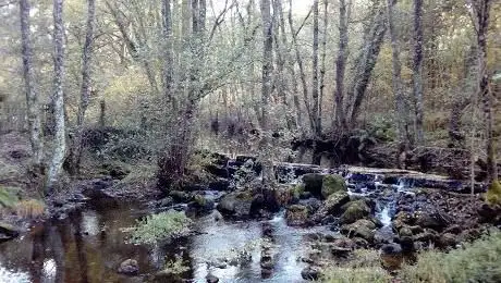 Rincón idílico de Galicia