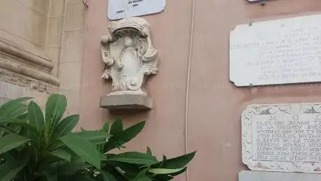 Photo de Centro per Lo Studio della Patologia Spontanea degli Organismi Marini