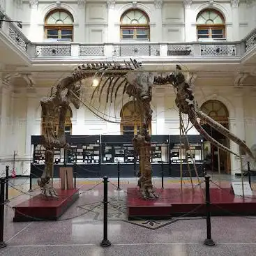Museum of Natural History “Giacomo Doriaâ€