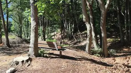 Area pic-nic