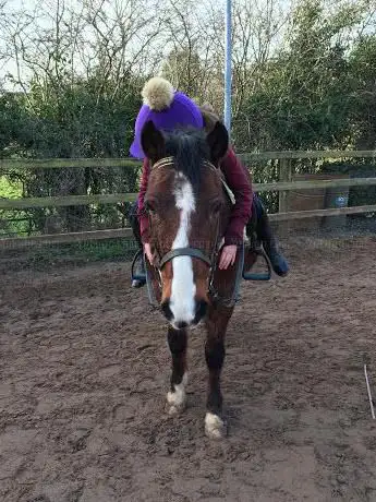 Photo de Ballynahinch Riding Centre