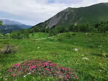 Ente di Gestione delle Aree Protette delle Alpi Marittime