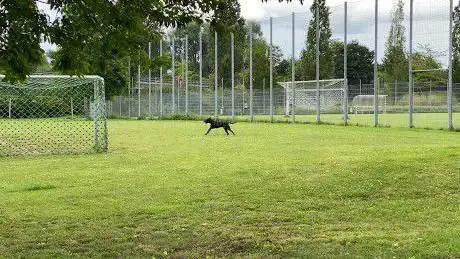 Fußballfeld klein