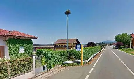 Nido di cicogne