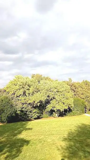 Photo de Parc des Ruires