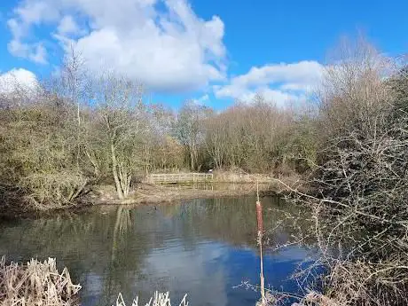 Rossett Nature Reserve