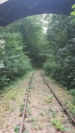 Photo de Vélo-Rail de La Mine