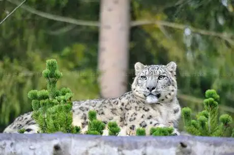 Zoo de Servion