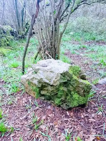 14th century coalmans dovecote and unknow ancient settlement