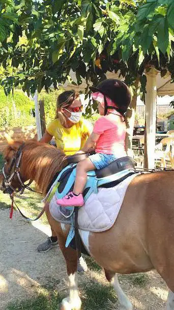L'Ilot Poneys