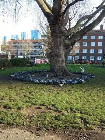 Photo de Rope Walk Gardens