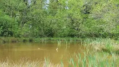 Photo de Biotop in Ottenbronn