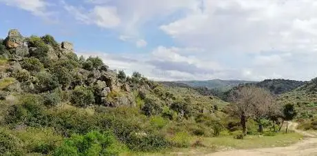 Photo de Faia Brava