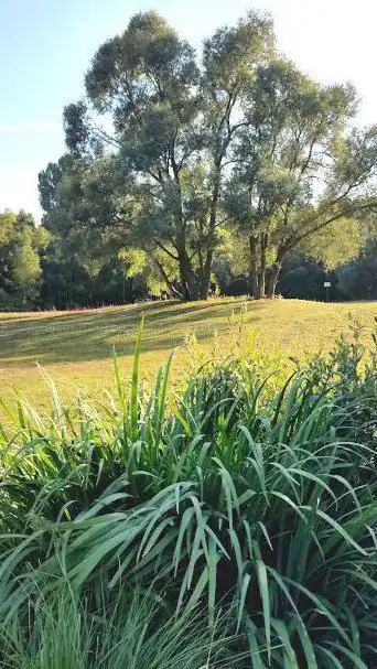 Photo de L'îlot De La Haute Deûle