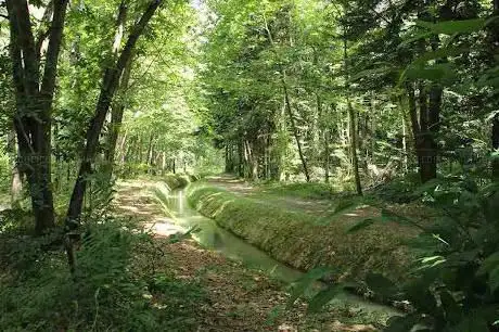 Photo de Maison de l'Arboretum - Cardeilhac