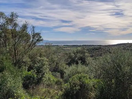 Photo de Riserva Naturale Poggio Tre Cancelli