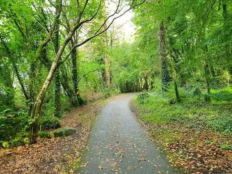 Photo de Carrickreagh viewpoint Elylodge Forest