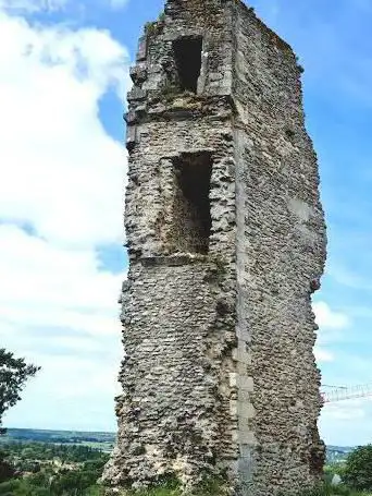 Photo de Les tours d'Anne-de-Bretagne