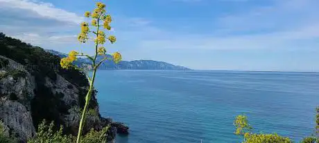 Coasteering Cala Gonone