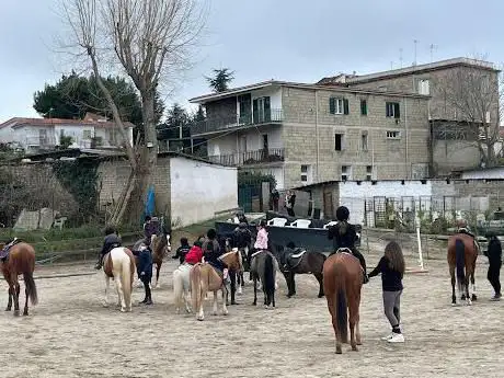 Photo de Dusty Horse Club