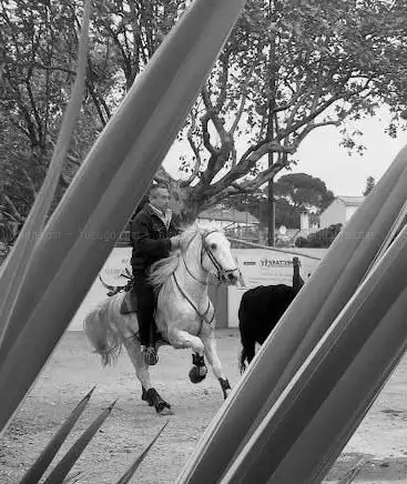 Photo de Salle des arènes
