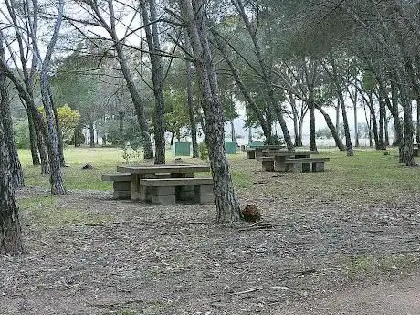 Pineta