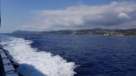 Photo de Avvistamento Cetacei Sanremo